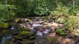 343 Bear Track Drive - Photo 53