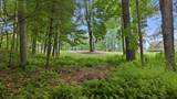 LT 37 Lilium Lane - Photo 16