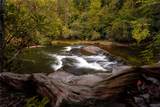 18 Horsepasture River Court - Photo 46