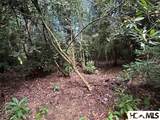 Lot 16 Toxaway Falls Drive - Photo 2