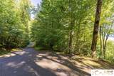 Lot 4 Old Forester Trail - Photo 10