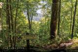 Lot 4 Old Forester Trail - Photo 2