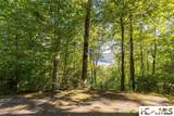 Lot 4 Old Forester Trail - Photo 6