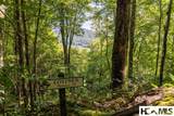 Lot 4 Old Forester Trail - Photo 7