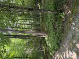 Lt 68A Maidenhaire Lane - Photo 1