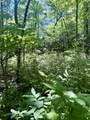 TBD Indian Lake Road - Photo 1