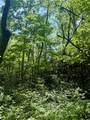 TBD Indian Lake Road - Photo 2