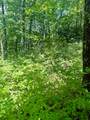 TBD Indian Lake Road - Photo 3