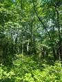 TBD Indian Lake Road - Photo 4