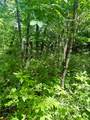 TBD Indian Lake Road - Photo 6
