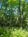 TBD Indian Lake Road - Photo 7