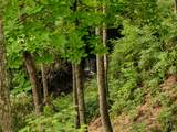 835 Toxaway Drive - Photo 51