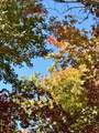 43 Wild Horse Road - Photo 30