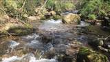 43 Wild Horse Road - Photo 8