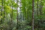 Lot 64 Grandview Court - Photo 8