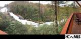 221 Toxaway Falls Drive - Photo 52