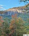 226 Rock Face Trail - Photo 5