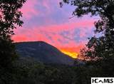 226 Rock Face Trail - Photo 6