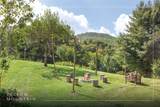 2091 Yellow Mountain Road - Photo 5