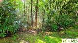 Lot 63 Juniper Court - Photo 2