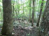 00 Wayfaring Road - Photo 6
