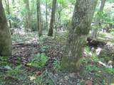 00 Wayfaring Road - Photo 9