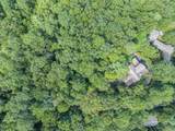 388 Alex Mountain Dr - Photo 45