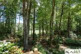 46 Brassie Drive - Photo 29