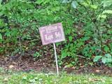 56 Springhead Trail - Photo 14