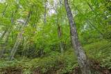 00 Greycliff Mountain - Photo 19