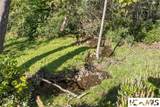 39 Wild Turkey Road - Photo 3