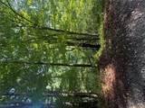 TBD Lt 39 Trout Creek Road - Photo 2