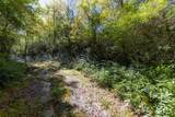 121 Rippling Waters Trail - Photo 10