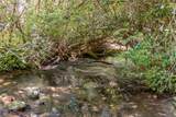 121 Rippling Waters Trail - Photo 13
