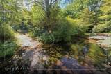 121 Rippling Waters Trail - Photo 3