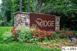 5 Lone Panther Ridge - Photo 12