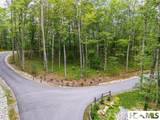 5 Lone Panther Ridge - Photo 2