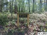5 Lone Panther Ridge - Photo 3