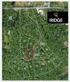 5 Lone Panther Ridge - Photo 4