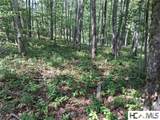 5 Lone Panther Ridge - Photo 6