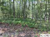 5 Lone Panther Ridge - Photo 7