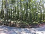 5 Lone Panther Ridge - Photo 8