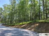 5 Lone Panther Ridge - Photo 9
