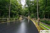 13 Lone Panther Ridge - Photo 6
