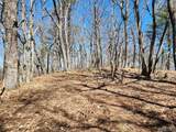 Lot 51 Tower Road - Photo 2