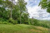 Lot 40 Lilium Lane - Photo 1