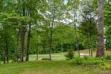 Lot 40 Lilium Lane - Photo 17