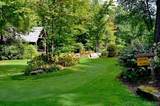 Lot 40 Lilium Lane - Photo 30