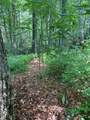 Lot 40 Lilium Lane - Photo 4