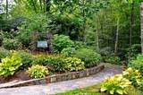 Lot 40 Lilium Lane - Photo 41